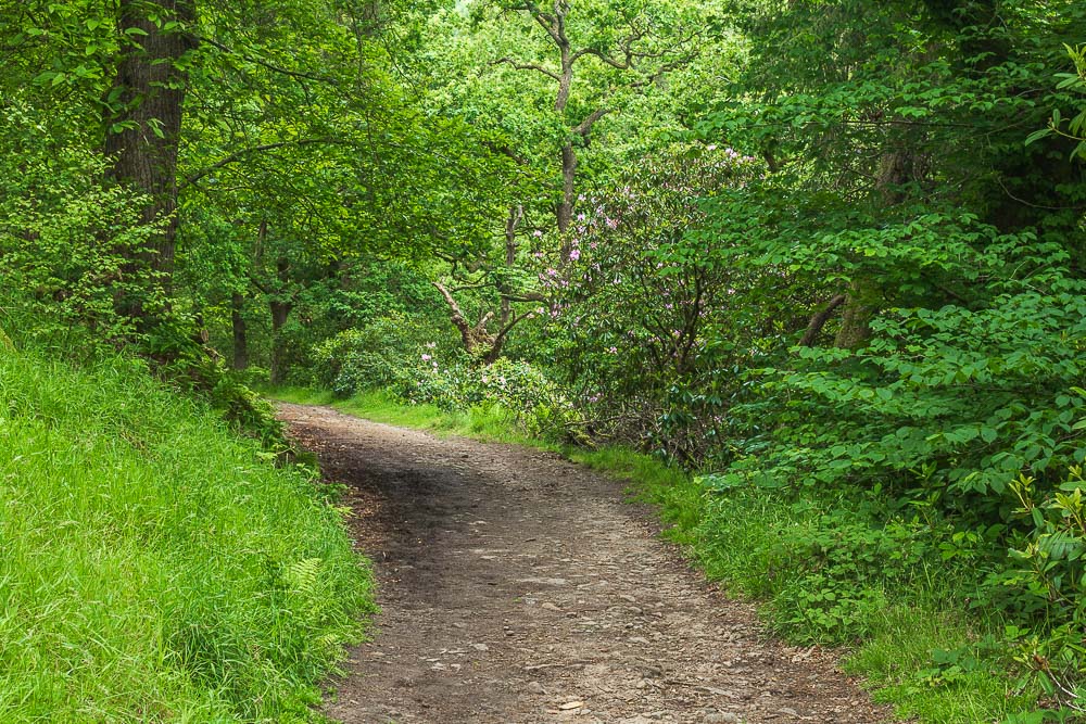 Goyt Valley Goyt Valley